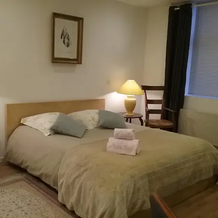 La Pepiniere Victoria - Canal & Pepiniere -50m2 * Nancy